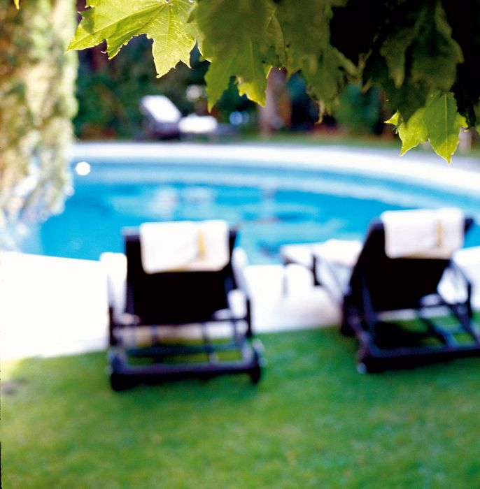 Green leaves in the foreground with blurred lounge chairs and a swimming pool in the background Green leaves in the foreground with blurred lounge chairs and a swimming pool in the background